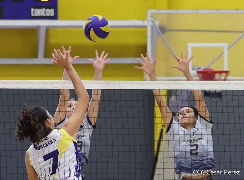 voleibol